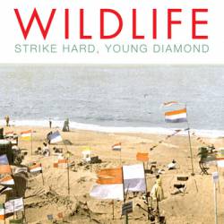 Wildlife : Strike Hard Young Diamond